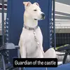 HB4Dogs - @halandjaebaxleycr - TikTok