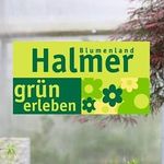 Blumenland Halmer - @blumenland_halmer - Instagram