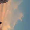 hals_campbell - @hals_campbell - TikTok