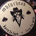 Matthew Maloley - @halfoxhalfnard - Instagram