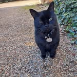 Hal Hughes - @hal.hughes2 - Instagram
