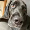 @HalHughes - @halhughes6 - TikTok