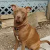 Rebecca Hughes-Hall - @rebecca.hugheshal - TikTok