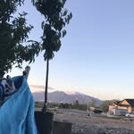 hals spam - @huntsmanhallee - Instagram