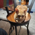 Hal Jackson - @datman5946 - Instagram