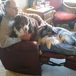 Hal Johnson - @hal.johnson.18 - Instagram