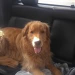 Hal Johnson - @hal.johnson.75470 - Instagram