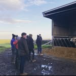 Halkirk Young Farmers - @halkirkyoungfarmers - Instagram