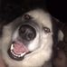 Haley Kleinman - Facebook