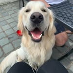 Hal Knight - @adventureswithhal - Instagram