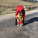 Halil Kınık - Facebook
