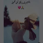 Hala Kohder - Facebook