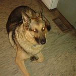 Cindy Hall-Krantz - @hallkrantz - Instagram