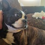 Hal Lawton - @hal.lawton - Instagram