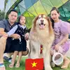 Xuân Quý Vưu - @hallevypwjs - TikTok