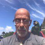 Hal Link - @harold.link.100 - Instagram