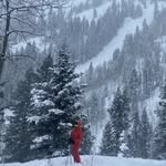 Halle longhurst - @hal_longhurst - Instagram