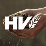 Hallo Vernunft - @hallovernunft - Instagram