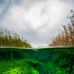 Lucas Hal - Facebook