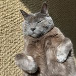 Hal Marks - @halmarks - Instagram