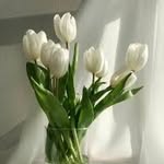 𝐇𝐀𝐌𝐃𝐀♡︎ - @h.almarzooqi2 - Instagram