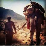 Ahmed Halmay - @halmayahmed - Instagram