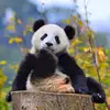 Halle_McLeod - @claribel0548 - TikTok