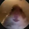 halmeoni.com - @halmeoni.com - TikTok