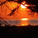 Susanne Halvor Mortensen - Facebook