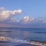 Hal Palmer - @palmerhalu6 - Instagram