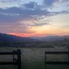 Halle - @halle.palmer35 - TikTok
