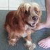 Hal Parks - Facebook