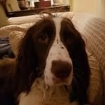 Hal Potts - @halpotts29 - Instagram