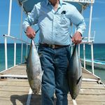 Hal Scott - @hal.scott.12 - Instagram