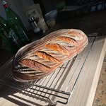Hal Sherman - @heshies_sourdough - Instagram