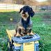 Harry Waters - Facebook