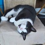 Hal Watson - @hal.watson.33 - Instagram