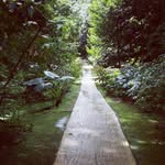 Welchman Hall Gully - @welchmanhallgully - Instagram