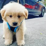 @halwellsadra - Instagram