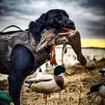 Wells halbrook - @wellshalbrook - Instagram