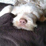 Hal Wright - @hw48123 - Instagram