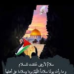 محمد شرف - @hala.mahran.33 - Instagram