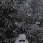 Ellol - @hala_sheta06 - Instagram
