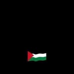Hala Hashem Sheta - @shetahalahashem - Instagram