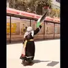 halasheta312 - @halasheta312 - TikTok