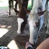 Haleigh Dyer - @haleighdyer - TikTok