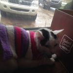 Haleigh Mitchell Hayhay - @haleighmitchellhayhay - Instagram