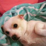 Haley Ambrose - @haleyamb467 - Instagram