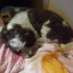 Hailey Archambault - Facebook