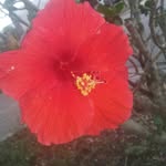 Haley Arnett - @outside.picturez.with.haley - Instagram